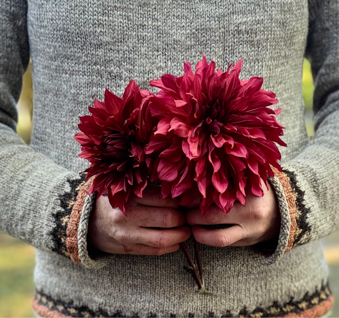Dahlia Wild Sister LB-012