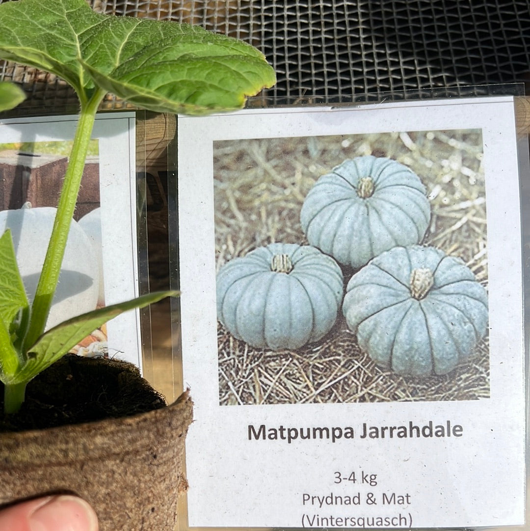 Pumpa Jarrahdale