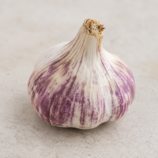 Vitlök 'Germidour'