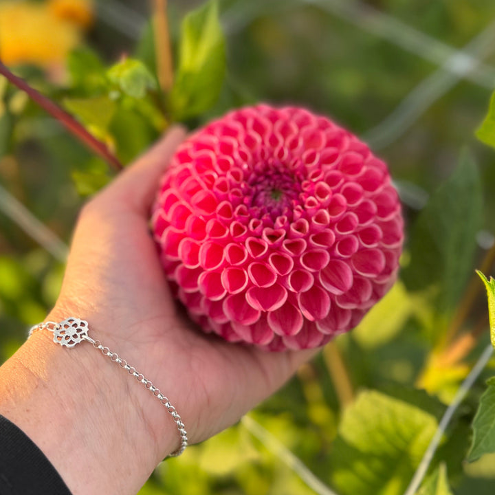 Dahlia Hapet Coppery