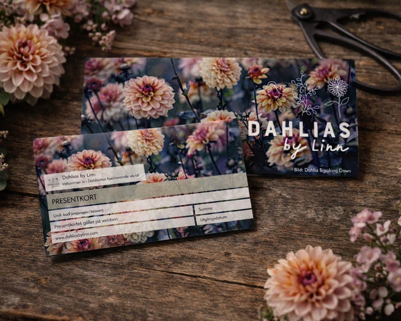 Presentkort! (fysiskt)