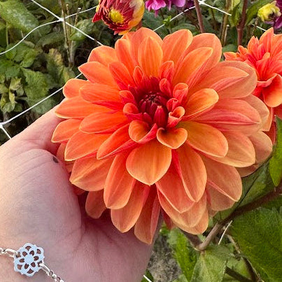 Dahlia Blitzer